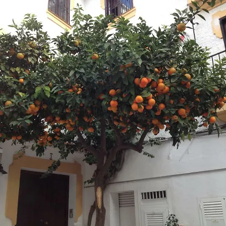 Casa La Naranja